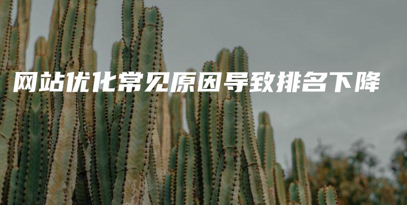 网站优化常见原因导致排名下降插图