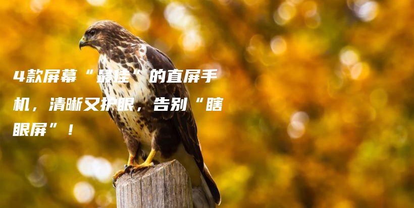 4款屏幕“最佳”的直屏手机,清晰又护眼,告别“瞎眼屏”!插图 4款屏幕“最佳”的直屏手机,清晰又护眼,告别“瞎眼屏”!插图