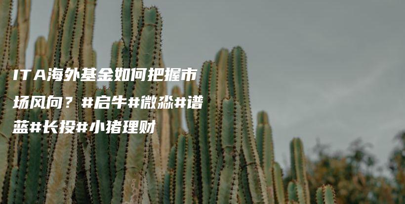 ITA海外基金如何把握市场风向？#启牛#微淼#谱蓝#长投#小猪理财插图
