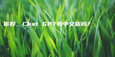 你好，Chat GPT有中文版吗？