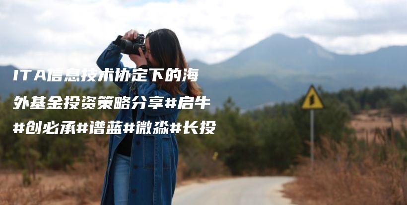 ITA信息技术协定下的海外基金投资策略分享#启牛#创必承#谱蓝#微淼#长投插图
