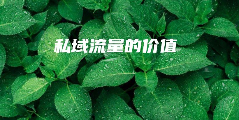 私域流量的价值插图