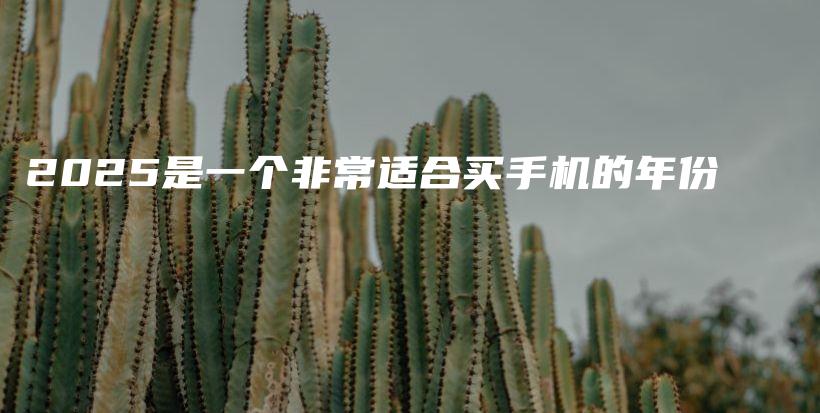 2025是一个非常适合买手机的年份插图 2025是一个非常适合买手机的年份插图