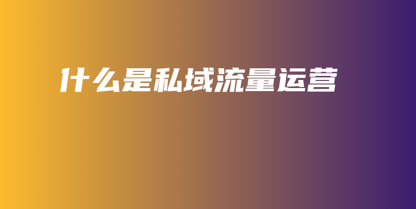 什么是私域流量运营插图
