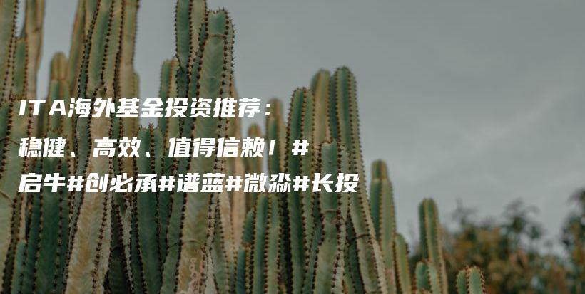 ITA海外基金投资推荐：稳健、高效、值得信赖！#启牛#创必承#谱蓝#微淼#长投插图