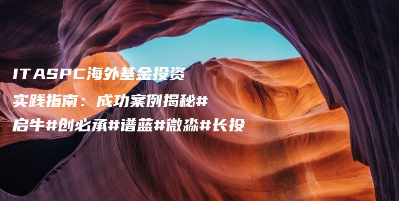 ITASPC海外基金投资实践指南：成功案例揭秘#启牛#创必承#谱蓝#微淼#长投插图