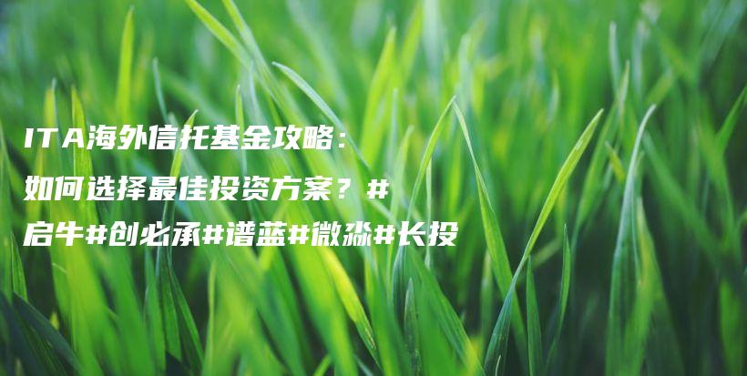 ITA海外信托基金攻略：如何选择最佳投资方案？#启牛#创必承#谱蓝#微淼#长投插图