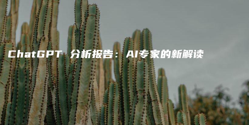 ChatGPT 分析报告：AI专家的新解读插图