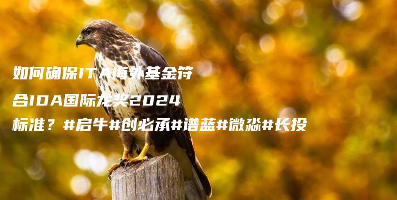 如何确保ITA海外基金符合IDA国际龙奖2024标准？#启牛#创必承#谱蓝#微淼#长投插图