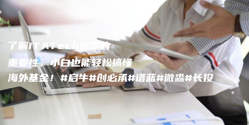 了解ITATech意思的重要性，小白也能轻松搞懂海外基金！#启牛#创必承#谱蓝#微淼#长投插图