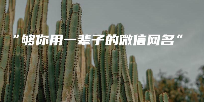 “够你用一辈子的微信网名”插图