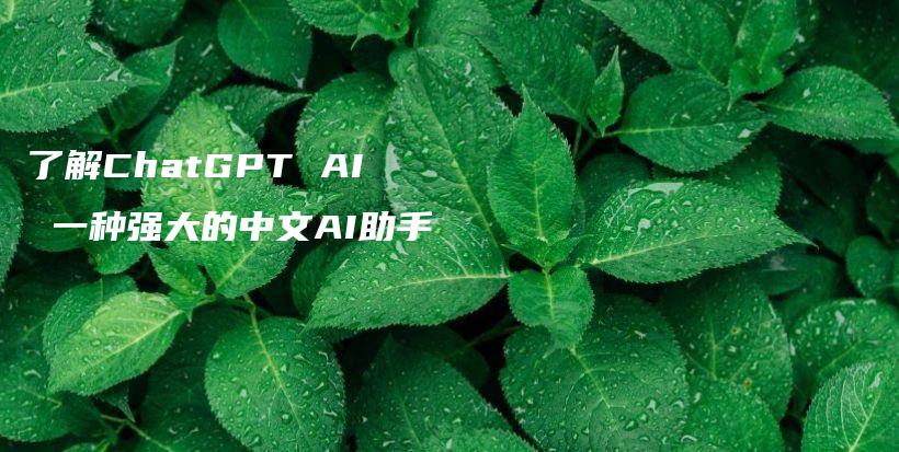 了解ChatGPT AI 一种强大的中文AI助手插图