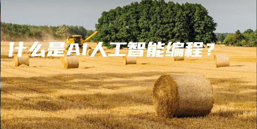 什么是AI人工智能编程？插图