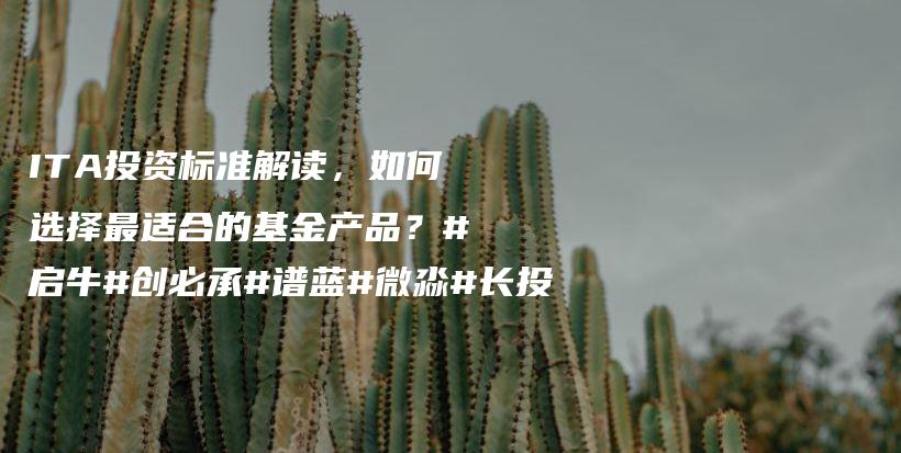 ITA投资标准解读，如何选择最适合的基金产品？#启牛#创必承#谱蓝#微淼#长投插图
