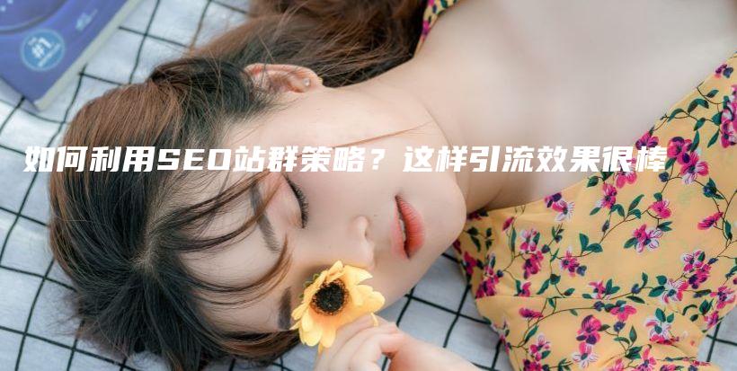 如何利用SEO站群策略?这样引流效果很棒插图 如何利用SEO站群策略?这样引流效果很棒插图