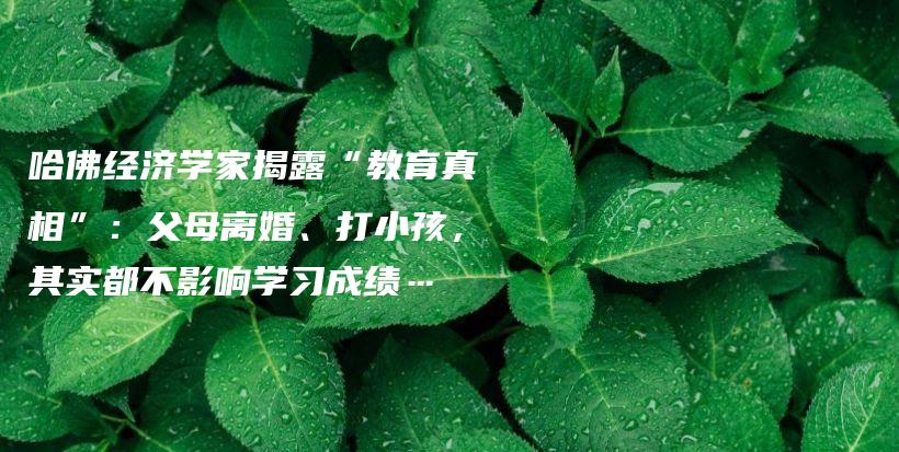 哈佛经济学家揭露“教育真相”:父母离婚、打小孩,其实都不影响学习成绩…插图 哈佛经济学家揭露“教育真相”:父母离婚、打小孩,其实都不影响学习成绩…插图