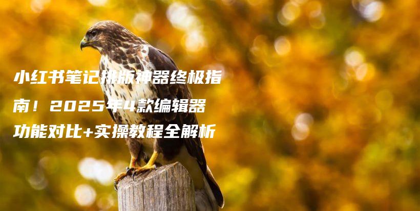 小红书笔记排版神器终极指南！2025年4款编辑器功能对比+实操教程全解析插图