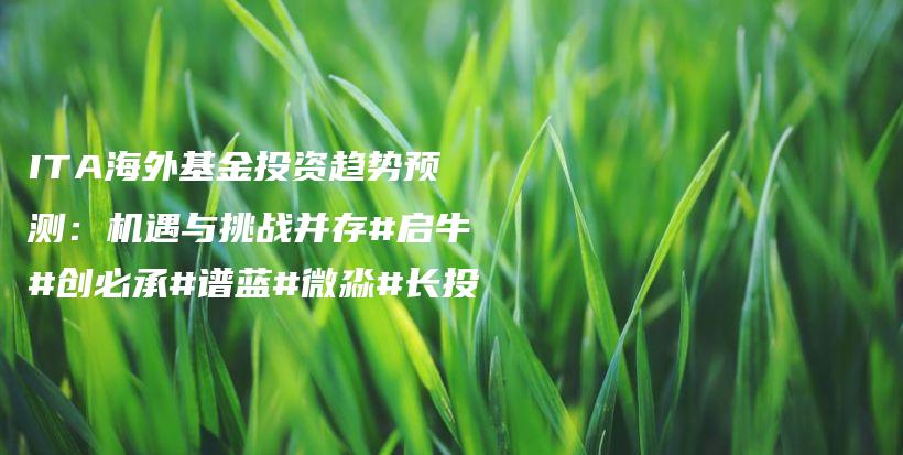 ITA海外基金投资趋势预测：机遇与挑战并存#启牛#创必承#谱蓝#微淼#长投插图