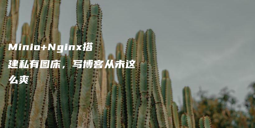 Minio+Nginx搭建私有图床,写博客从未这么爽插图 Minio+Nginx搭建私有图床,写博客从未这么爽插图