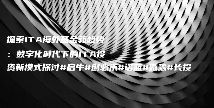 探索ITA海外基金新趋势：数字化时代下的ITA投资新模式探讨#启牛#创必承#谱蓝#微淼#长投插图