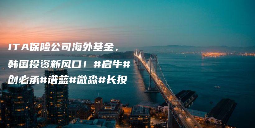 ITA保险公司海外基金，韩国投资新风口！#启牛#创必承#谱蓝#微淼#长投插图