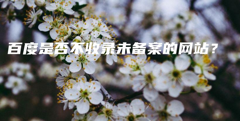 百度是否不收录未备案的网站？插图