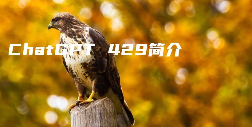 ChatGPT 429简介插图
