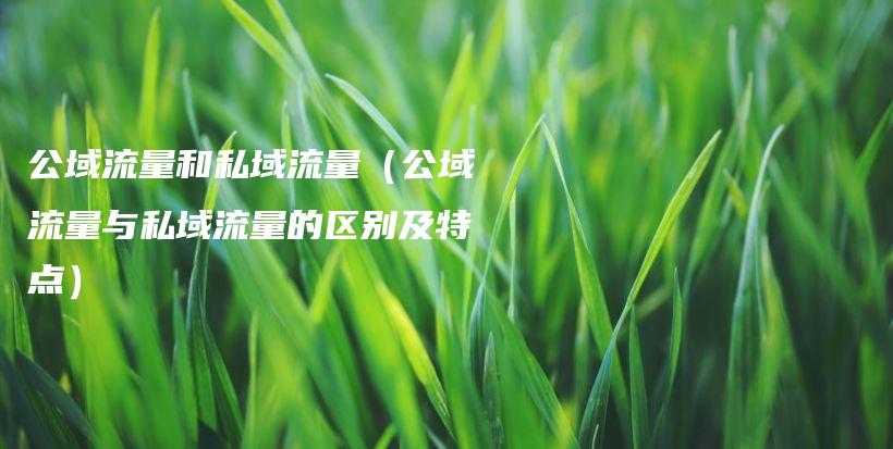 公域流量和私域流量（公域流量与私域流量的区别及特点）插图