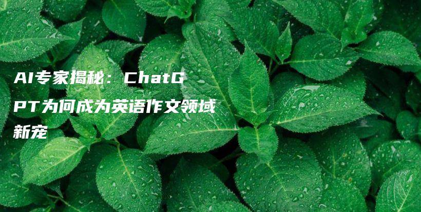 AI专家揭秘：ChatGPT为何成为英语作文领域新宠插图