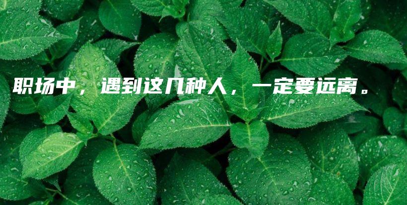 职场中，遇到这几种人，一定要远离。插图