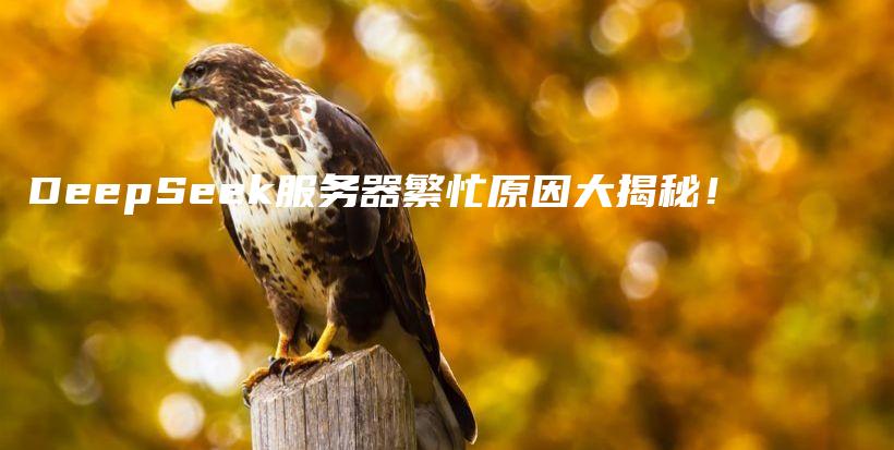 DeepSeek服务器繁忙原因大揭秘!插图 DeepSeek服务器繁忙原因大揭秘!插图