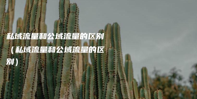 私域流量和公域流量的区别（私域流量和公域流量的区别）插图