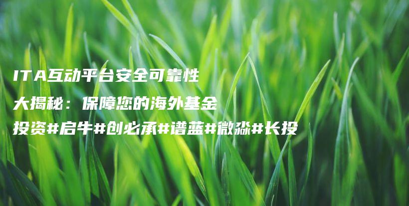 ITA互动平台安全可靠性大揭秘：保障您的海外基金投资#启牛#创必承#谱蓝#微淼#长投插图