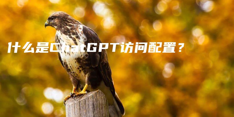 什么是ChatGPT访问配置？插图