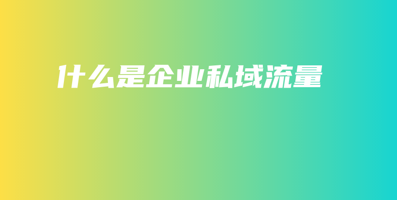 什么是企业私域流量插图