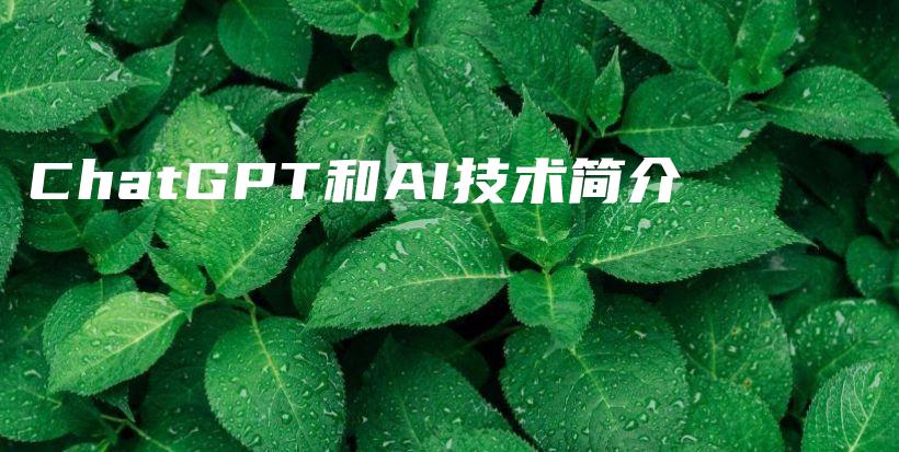 ChatGPT和AI技术简介插图