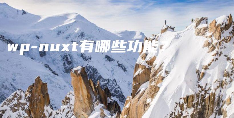 wp-nuxt有哪些功能？插图