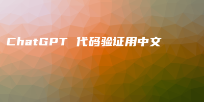 ChatGPT 代码验证用中文
