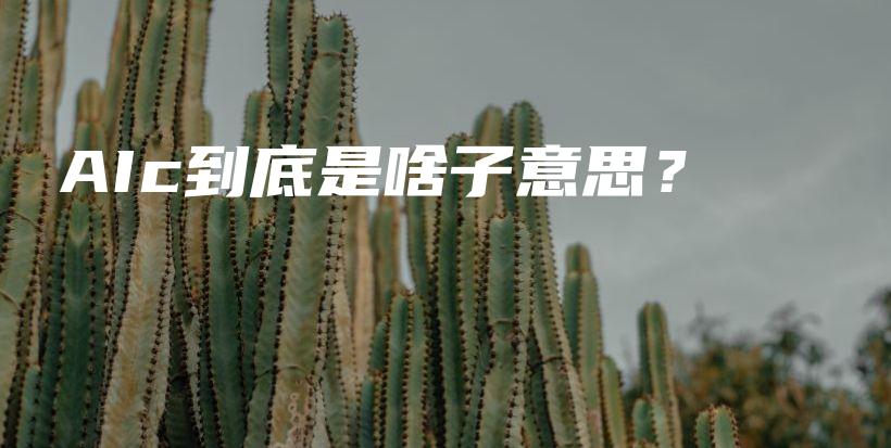 AIc到底是啥子意思？插图