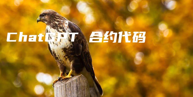 ChatGPT 合约代码插图 ChatGPT 合约代码插图