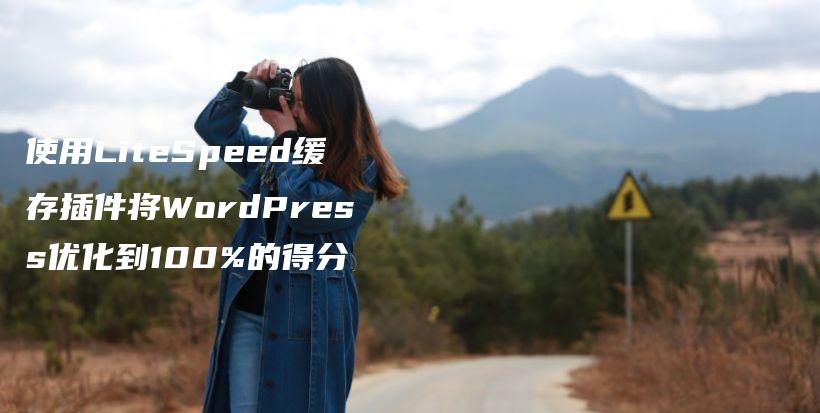 使用LiteSpeed缓存插件将WordPress优化到100%的得分插图