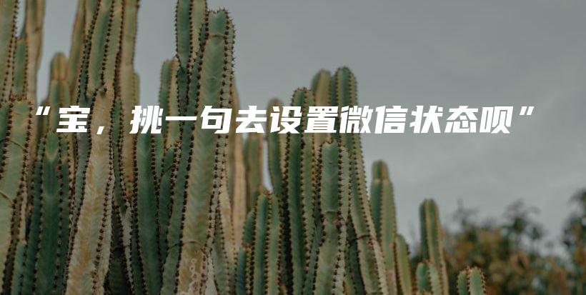 “宝，挑一句去设置微信状态呗”插图