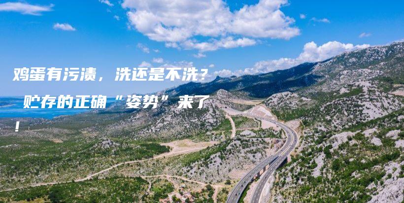 鸡蛋有污渍,洗还是不洗? 贮存的正确“姿势”来了!插图 鸡蛋有污渍,洗还是不洗? 贮存的正确“姿势”来了!插图