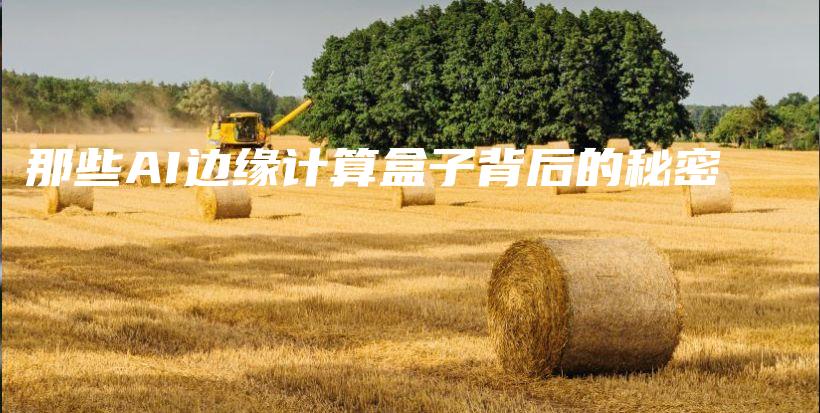 那些AI边缘计算盒子背后的秘密插图