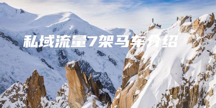 私域流量7架马车介绍插图