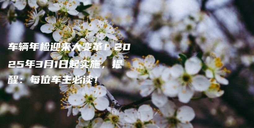 车辆年检迎来大变革！2025年3月1日起实施，提醒：每位车主必读！插图