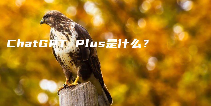 ChatGPT Plus是什么？插图