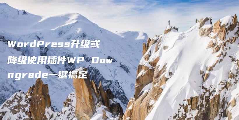 WordPress升级或降级使用插件WP Downgrade一键搞定插图