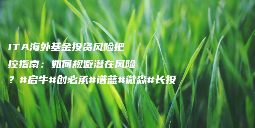 ITA海外基金投资风险把控指南：如何规避潜在风险？#启牛#创必承#谱蓝#微淼#长投插图