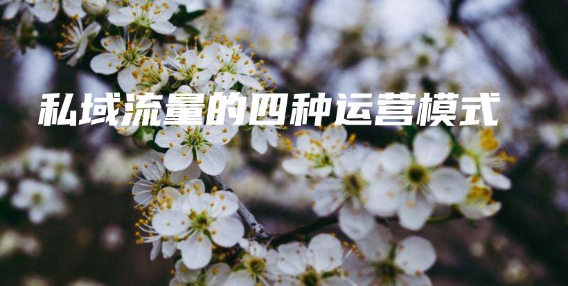 私域流量的四种运营模式插图